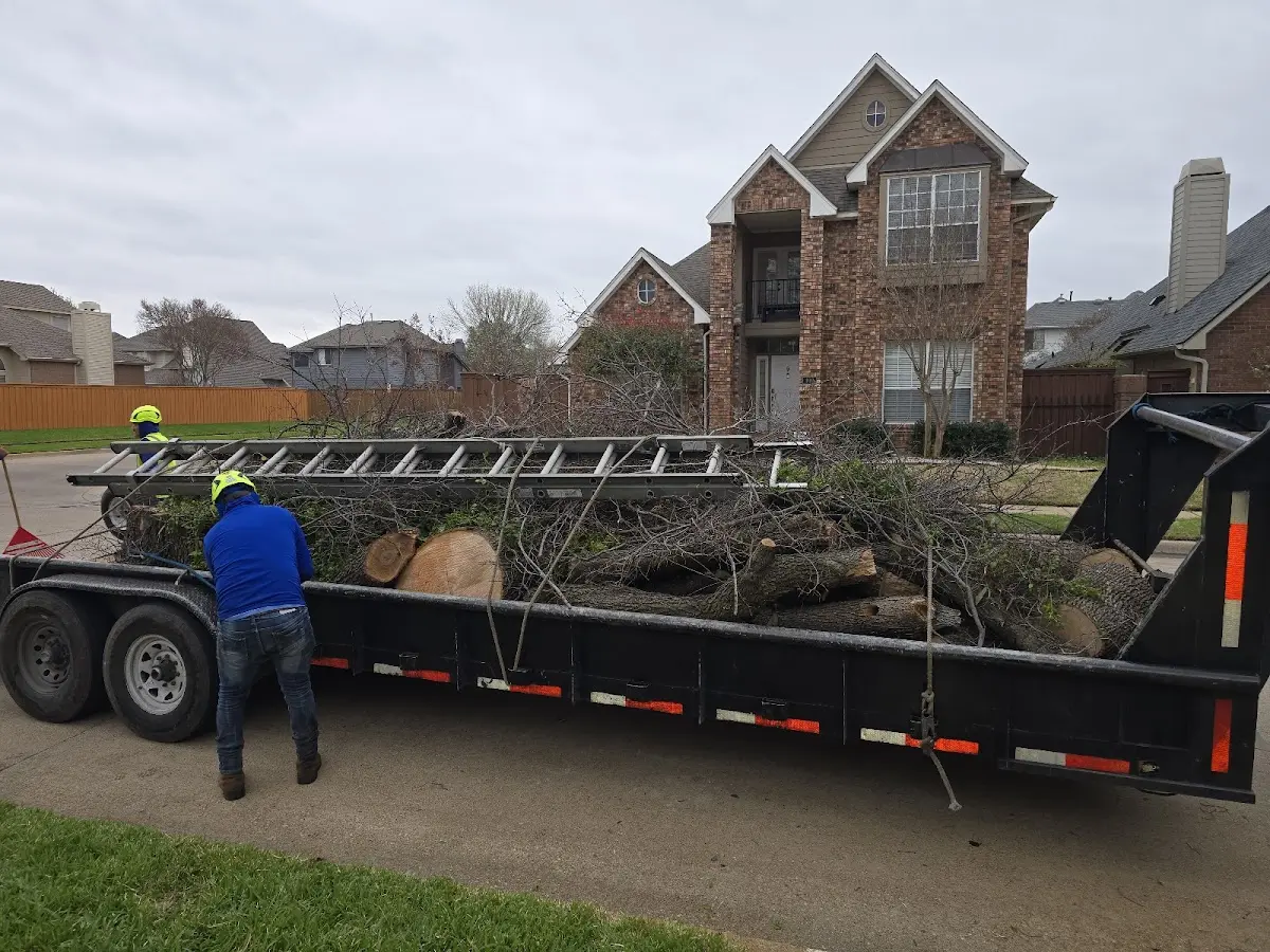 Expert Lot Clearing with proper safety equipment in Wisner